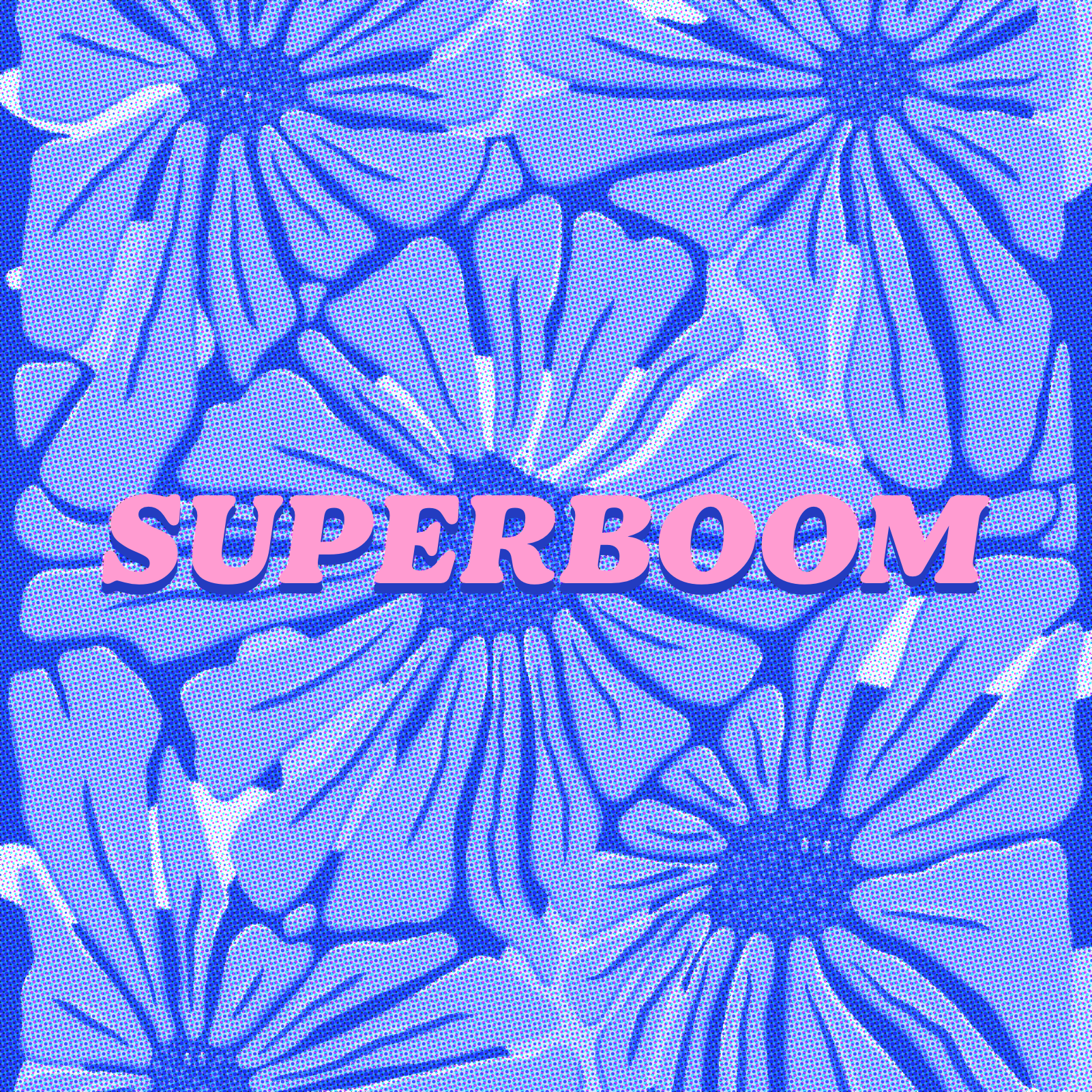 Pôle SuperBoom
