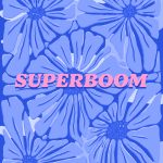 Icon superboom